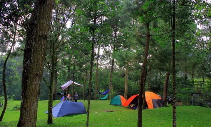 Tapian Ratu Camp Real Букиттинги Экстерьер фото