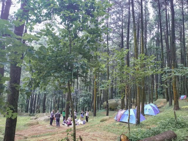 Tapian Ratu Camp Real Букиттинги Экстерьер фото